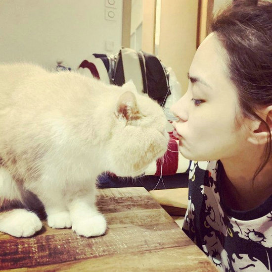 阿娇化身“猫奴”秀爱宠 周扬青留言欲取经