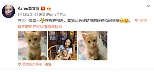 莫文蔚晒与小猫咪合照:莫猫队长被萌爆的眼神瞬间圈粉