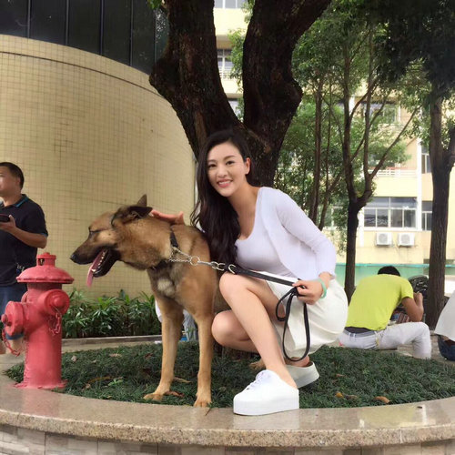 “大哥的女人”郑清文以二次元身材抢镜《警犬来啦》