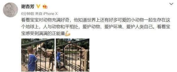 林丹老婆带娃喂长颈鹿 宝宝一个动作让网友惊呼太危险