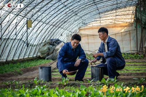 延续希望奋斗不息 《希望的大地》凝聚人间真善美
