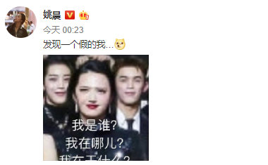 姚晨幽默吐槽盛典合照放大后:发现一个假的我