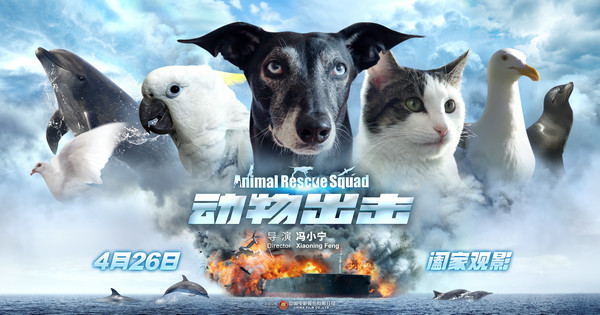 《动物出击》曝萌宠集结版海报 新类型萌宠历险大电影预热五一黄金档